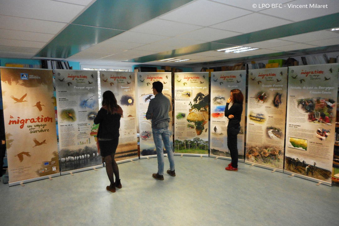 Nos expositions en prêt